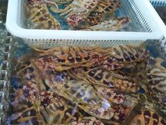 -清水湾3号(东方小周海鲜店)