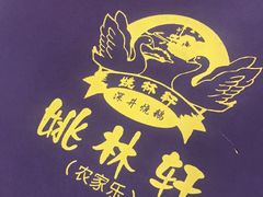 -姚林轩
