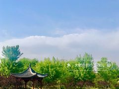 -张家湾公园