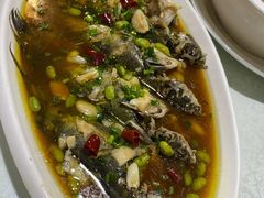 -呼吸森林·生态农庄农家乐私房菜