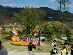 -天适樱花悠乐园