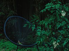 -胶囊画廊