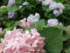 -华南国家植物园-售票处