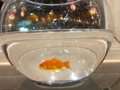 -聚友朋褡裢火烧(天北路店)