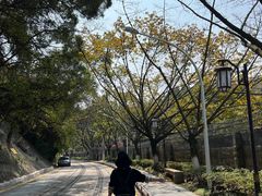 -铁路文化公园