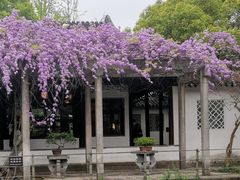 -西园戒幢律寺