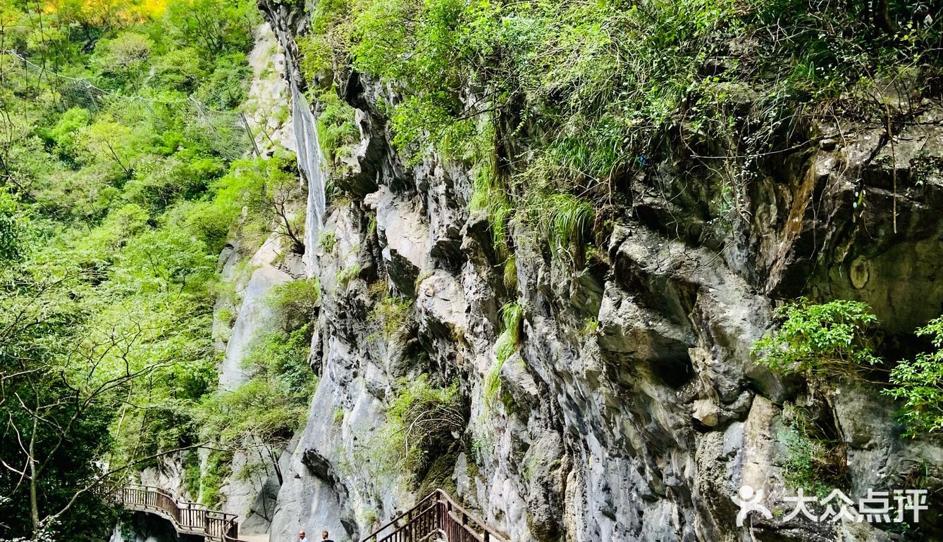 🚘重庆周边游 | 领略峡谷风光⛰️