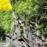 🚘重庆周边游 | 领略峡谷风光⛰️