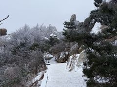 -崂山巨峰游览区