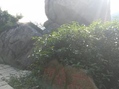 -东澳岛