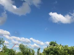-樂桃源奉贤黄桃种植采摘基地