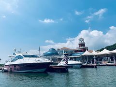 -平湖九龙山庄园圣马可酒店