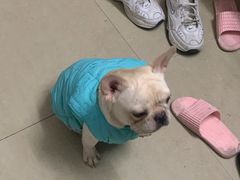 -瑞鹏宠物医院