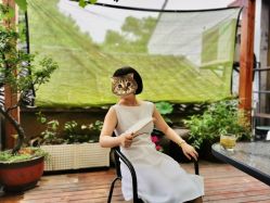 -缘杨裁缝西服定制店·旗袍·礼服