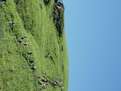 -萍乡武功山风景名胜区