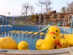 -清远熹乐谷温泉度假酒店