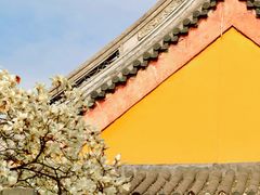 -龙华寺
