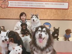 -和它·交个朋友·狗咖猫咖(爱琴海店)