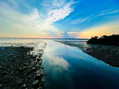 -宝安西湾红树林湿地公园