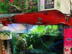-陈记麻辣烫(浦口道店)