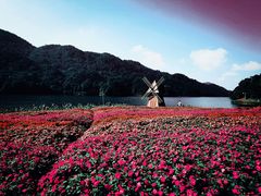 -广州市石门国家森林公园