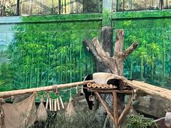 -灵玲国际马戏城