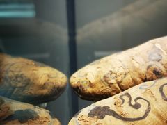 -巴音郭楞蒙古自治州博物馆