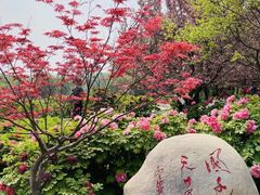 -洛阳市隋唐城遗址植物园