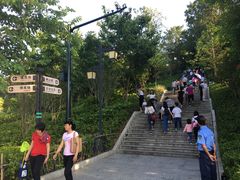 -神光山国家森林公园