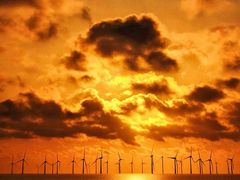 -春花秋色城市公园