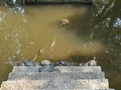 -南岳大庙