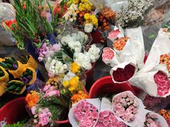 -循礼门鲜花花市(武汉循礼门店)