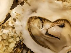 -星伦多自助料理(华润万象城店)