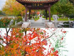 -南通濠河风景名胜区