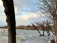 -捞渔河湿地公园