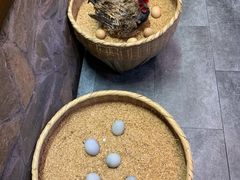 -井水小厨·湘菜(活力广场店)