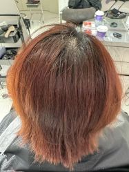 -SALON DE VANHADA