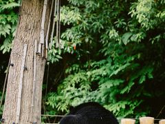 -常州淹城野生动物世界