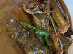 红烧昂刺鱼-云河农家乐饭店(福禄缘树山店)