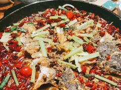 -老板恋上鱼(高新万达店)