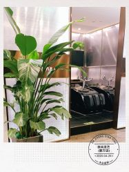 -崇尚GAVIN STYLE臻选