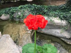 -兰陵国家农业公园