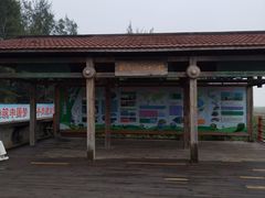 -北海金海湾红树林生态旅游区