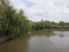 -上海中医药大学附属曙光医院(东部)