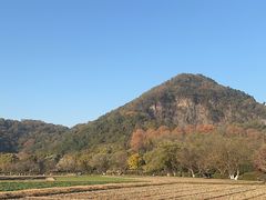 -八卦田遗址公园
