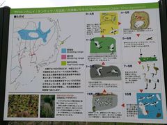 讲解说明图-钏路市丹顶鹤自然公园