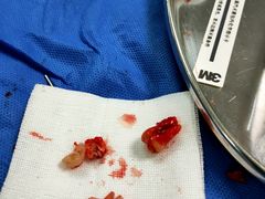 -浙江大学医学院附属第二医院(解放路院区)