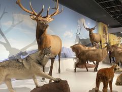 -陕西自然博物馆