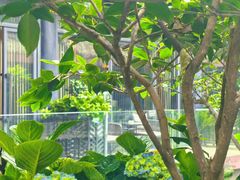 -大妙火锅·非物质文化遗产(东湖公园店)