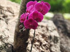 -南通洲际绿博园